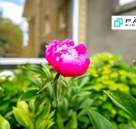 Sireli Casa vacanze Pärnu