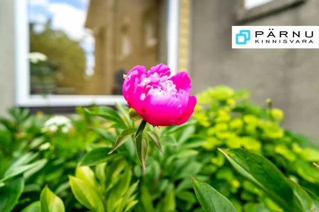 Sireli Сasa de vacaciones Pärnu